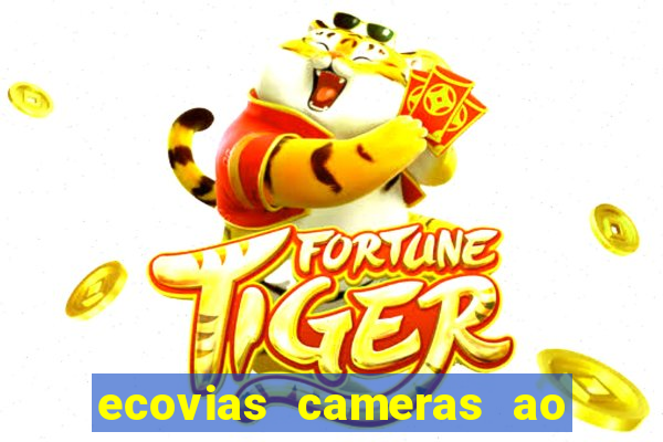 ecovias cameras ao vivo santos